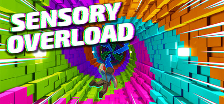 感官过载|Build.24840501|容量169.22MB|官方中文|Sensory Overload